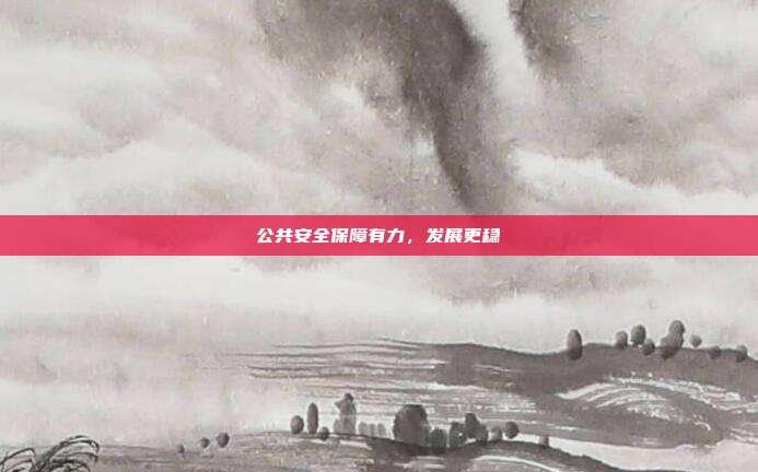 公共安全保障有力,发展更稳