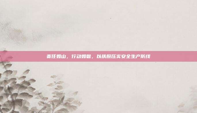 责任如山,行动如磐,以铁腕压实安全生产防线