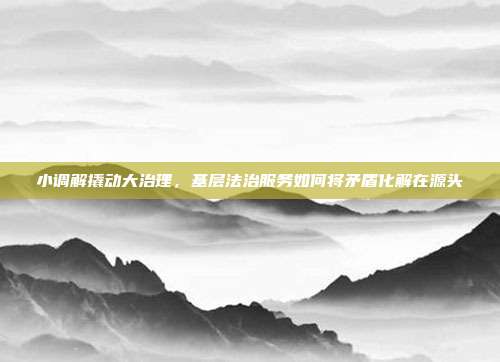 小调解撬动大治理,基层法治服务如何将矛盾化解在源头