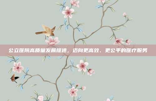 公立医院高质量发展提速，迈向更高效、更公平的医疗服务
