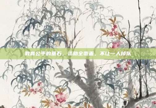 教育公平的基石，资助全覆盖，不让一人掉队