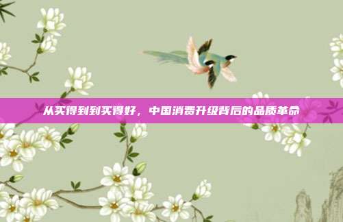 从买得到到买得好,中国消费升级背后的品质革命