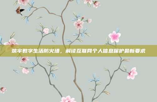 筑牢数字生活防火墙,解读互联网个人信息保护最新要求