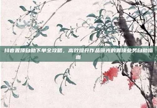 抖音置顶自助下单全攻略,高效提升作品曝光的置顶业务自助指南