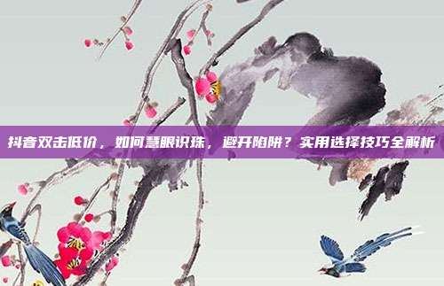 抖音双击低价,如何慧眼识珠,避开陷阱?实用选择技巧全解析