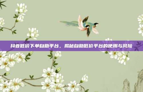 抖音低价下单自助平台，揭秘自助低价平台的使用与风险