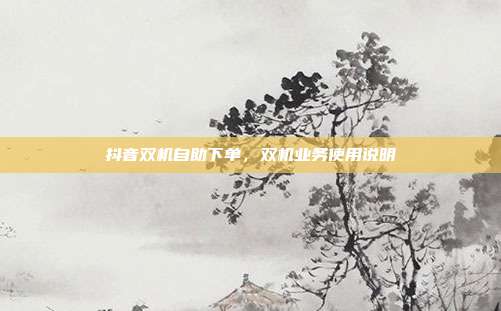 抖音双机自助下单，双机业务使用说明