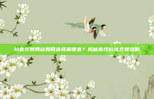 抖音充赞网站如何选择最便宜？揭秘高性价比充赞攻略