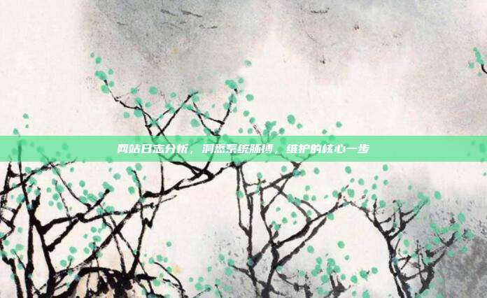 网站日志分析，洞悉系统脉搏，维护的核心一步
