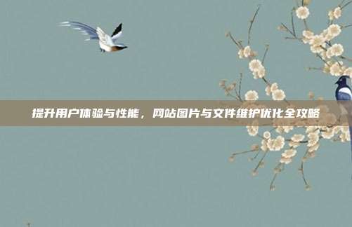 提升用户体验与性能，网站图片与文件维护优化全攻略