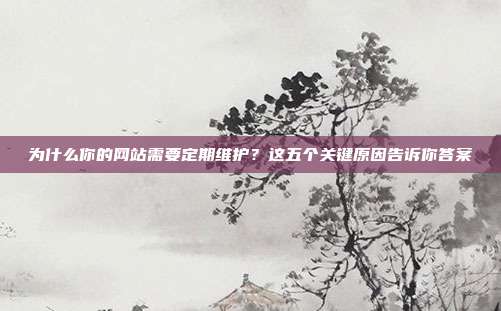 为什么你的网站需要定期维护？这五个关键原因告诉你答案