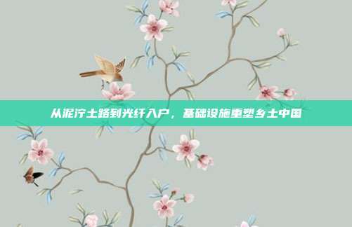 从泥泞土路到光纤入户，基础设施重塑乡土中国