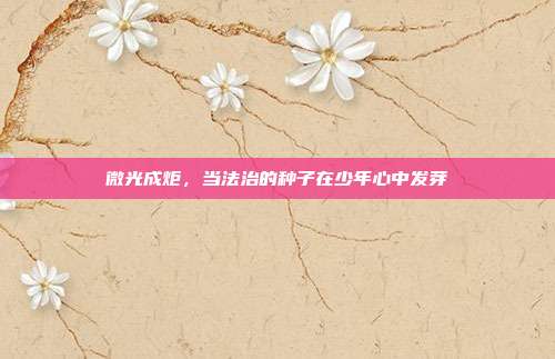 微光成炬，当法治的种子在少年心中发芽