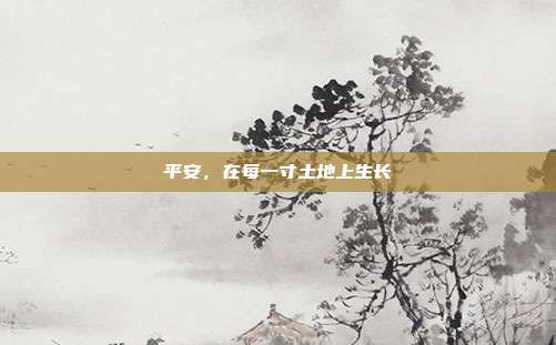 平安，在每一寸土地上生长