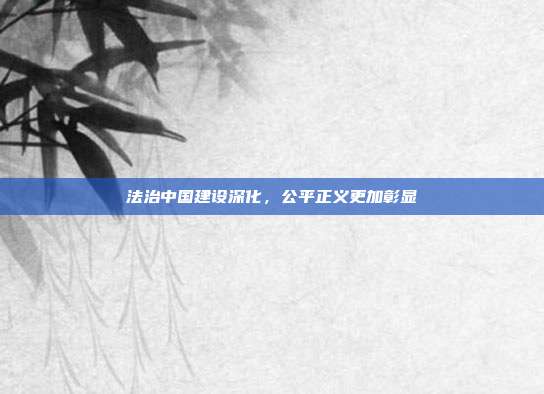 法治中国建设深化，公平正义更加彰显