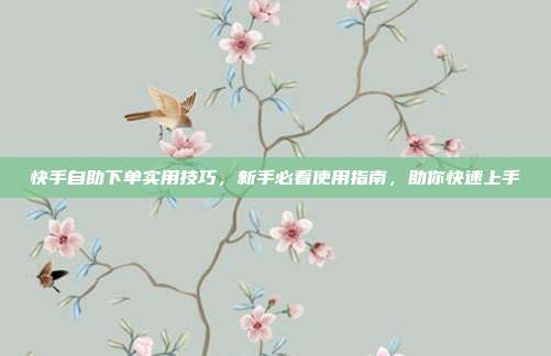 快手自助下单实用技巧,新手必看使用指南,助你快速上手