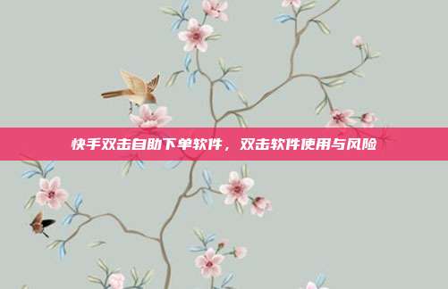 快手双击自助下单软件,双击软件使用与风险