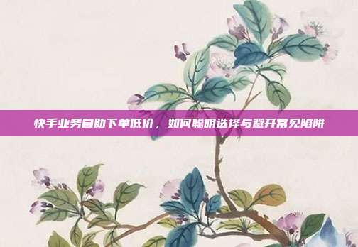 快手业务自助下单低价,如何聪明选择与避开常见陷阱