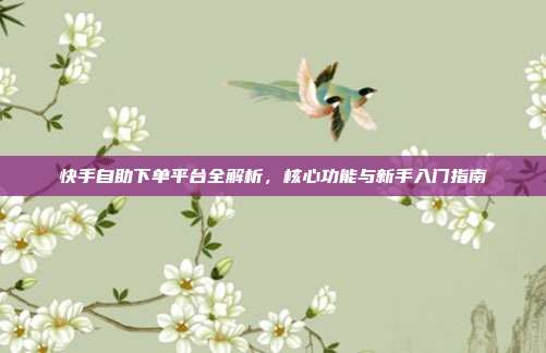 快手自助下单平台全解析,核心功能与新手入门指南