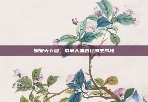 粮安天下稳，筑牢大国粮仓的生命线