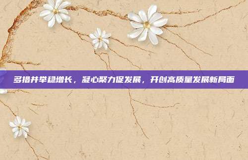 多措并举稳增长，凝心聚力促发展，开创高质量发展新局面