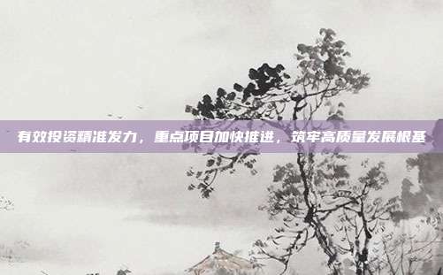 有效投资精准发力，重点项目加快推进，筑牢高质量发展根基