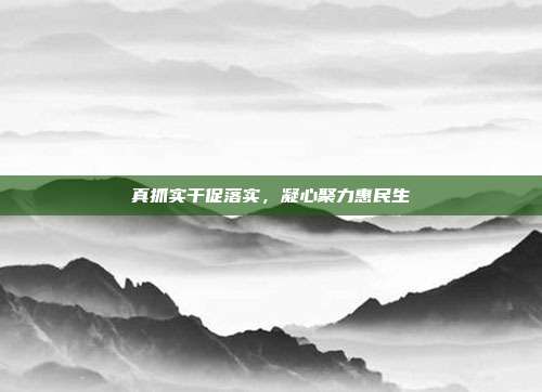 真抓实干促落实，凝心聚力惠民生