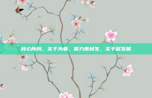 民心所向，实干为要，聚力惠民生，实干促发展