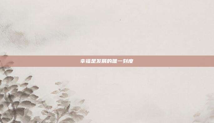 幸福是发展的唯一刻度