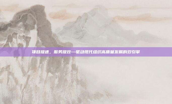 项目提速，服务提效—驱动现代组织高质量发展的双引擎