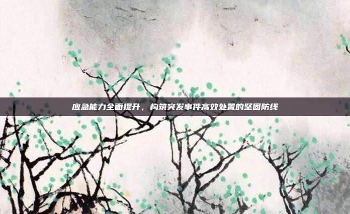 应急能力全面提升，构筑突发事件高效处置的坚固防线