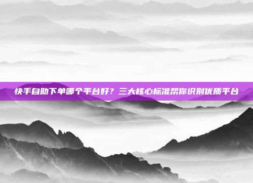 快手自助下单哪个平台好?三大核心标准帮你识别优质平台