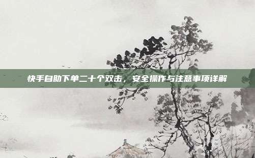 快手自助下单二十个双击,安全操作与注意事项详解