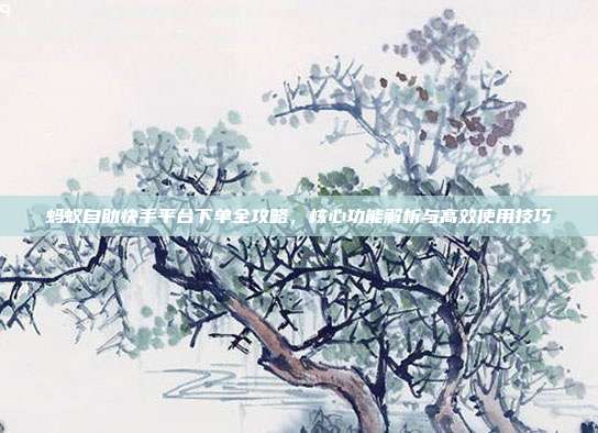 蚂蚁自助快手平台下单全攻略,核心功能解析与高效使用技巧