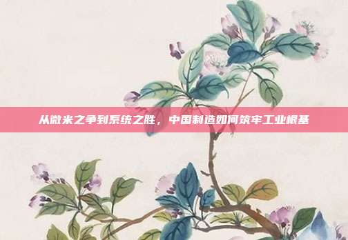 从微米之争到系统之胜,中国制造如何筑牢工业根基