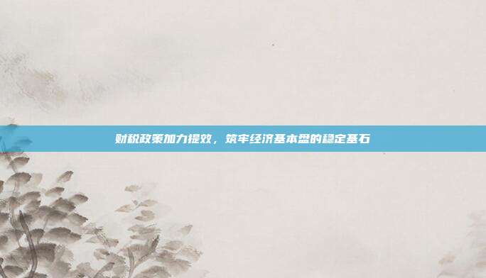 财税政策加力提效，筑牢经济基本盘的稳定基石