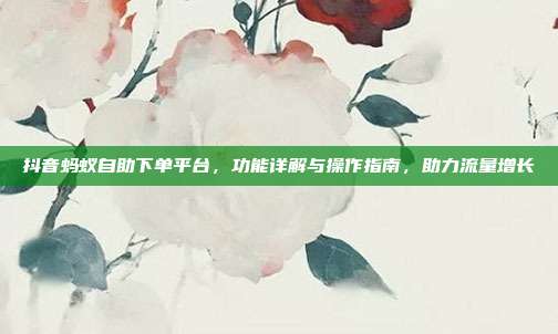 抖音蚂蚁自助下单平台,功能详解与操作指南,助力流量增长