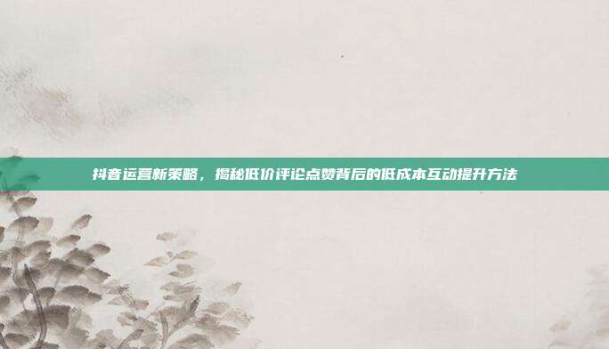 抖音运营新策略,揭秘低价评论点赞背后的低成本互动提升方法