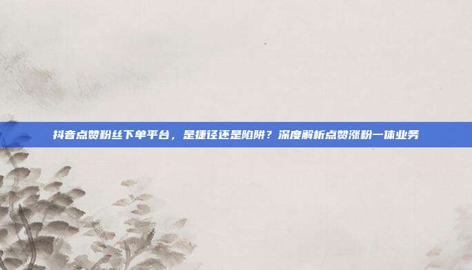 抖音点赞粉丝下单平台,是捷径还是陷阱?深度解析点赞涨粉一体业务