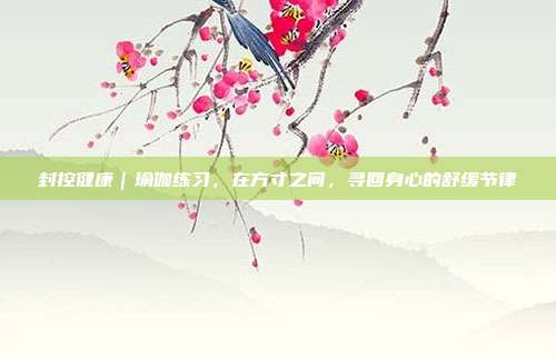 封控健康|瑜伽练习,在方寸之间,寻回身心的舒缓节律