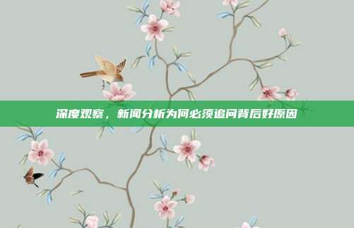 深度观察,新闻分析为何必须追问背后好原因