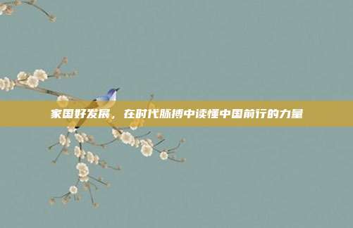 家国好发展,在时代脉搏中读懂中国前行的力量