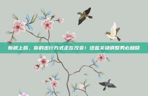 新规上路，你的出行方式正在改变！这些关键调整务必知晓