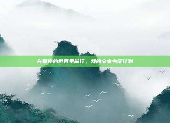 在暂停的世界里前行，我的宅家考证计划