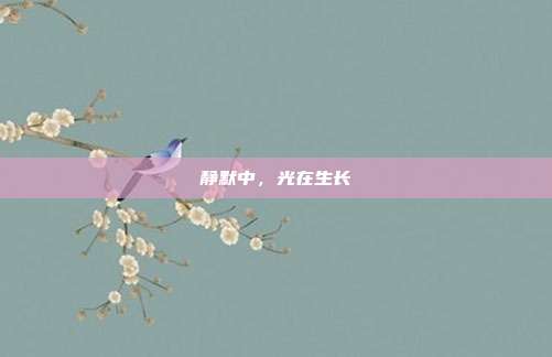 静默中,光在生长