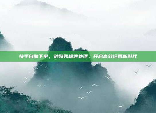 快手自助下单,秒到账极速处理,开启高效运营新时代