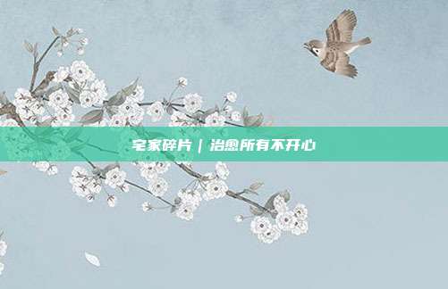 宅家碎片｜治愈所有不开心