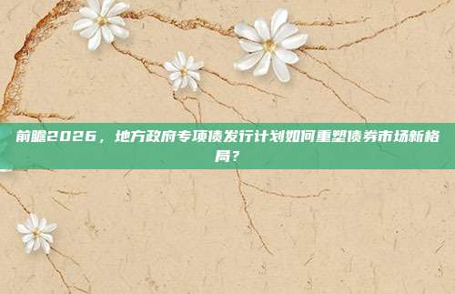 前瞻2026，地方政府专项债发行计划如何重塑债券市场新格局？