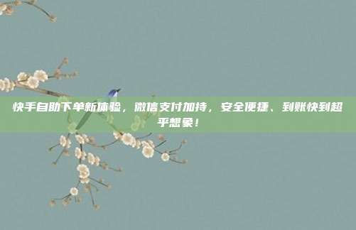 快手自助下单新体验，微信支付加持，安全便捷、到账快到超乎想象！