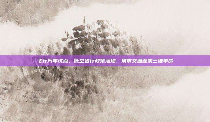飞行汽车试点,低空出行政策落地,城市交通迎来三维革命